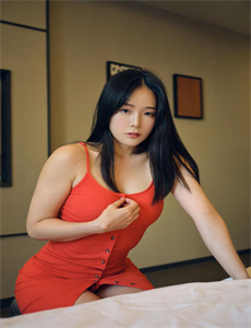 网后宫